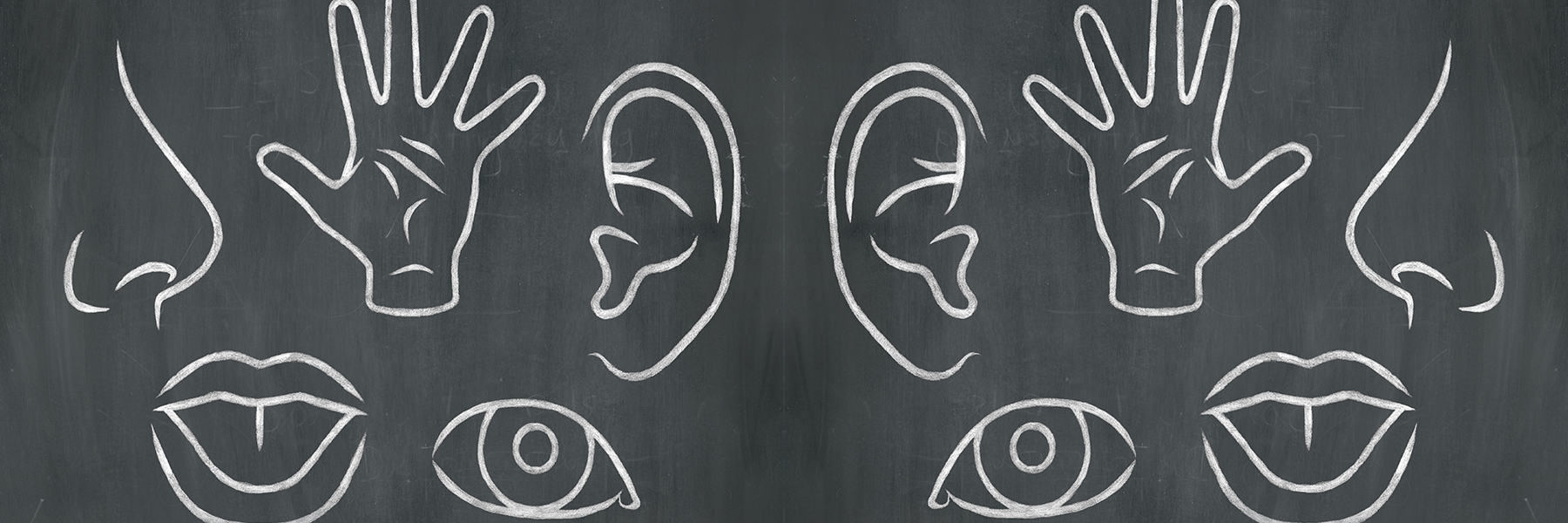 Sensory Research